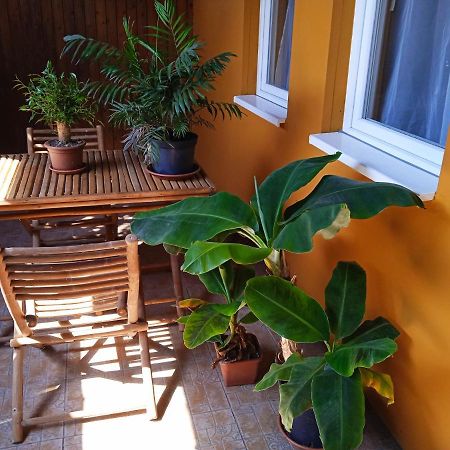 فيتْشيش Bee Home المظهر الخارجي الصورة